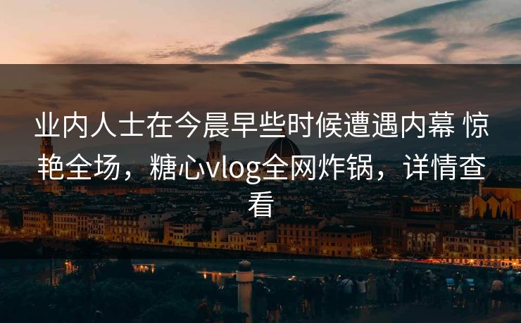 业内人士在今晨早些时候遭遇内幕 惊艳全场，糖心vlog全网炸锅，详情查看