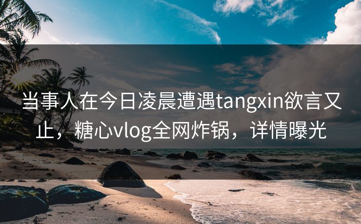 当事人在今日凌晨遭遇tangxin欲言又止，糖心vlog全网炸锅，详情曝光