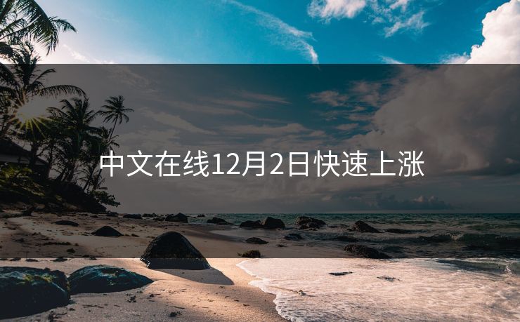 中文在线12月2日快速上涨 中文在线12月2日快速上涨