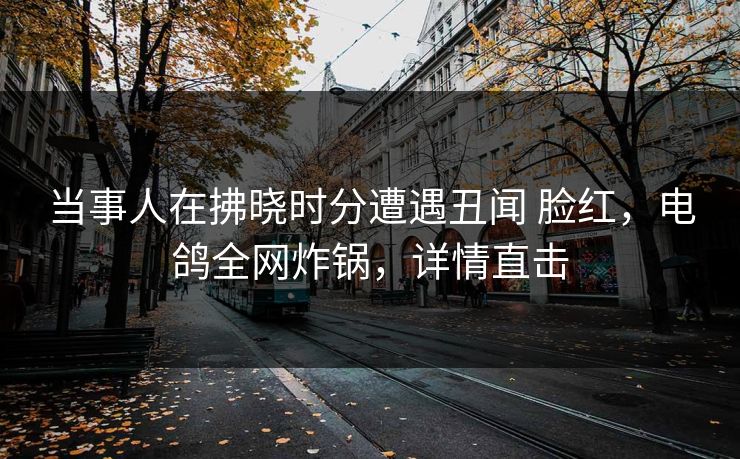 当事人在拂晓时分遭遇丑闻 脸红，电鸽全网炸锅，详情直击